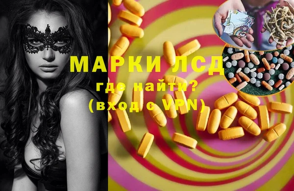 твердый Новодвинск