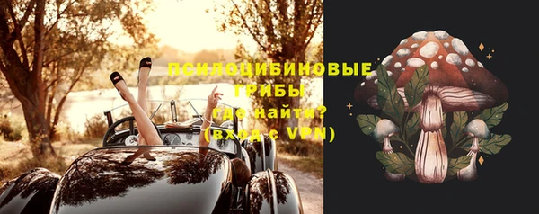 apvp Семёнов